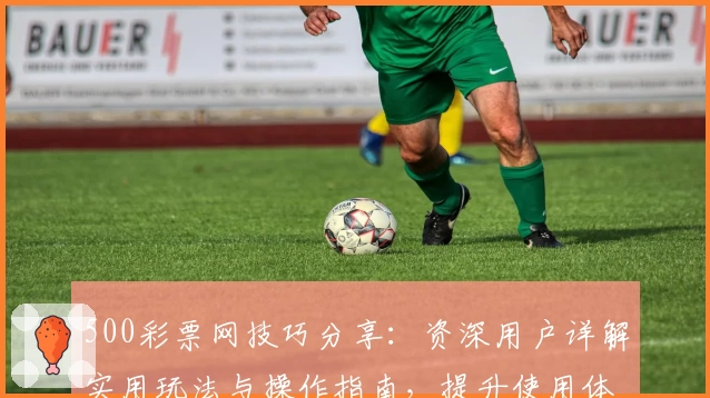 500彩票网技巧分享:资深用户详解实用玩法与操作指南,提升使用体验的全攻略