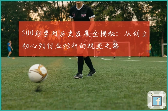 500彩票网历史发展全揭秘:从创立初心到行业标杆的蜕变之路