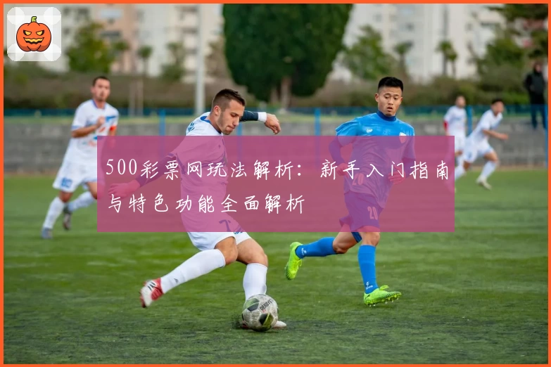 500彩票网玩法解析：新手入门指南与特色功能全面解析